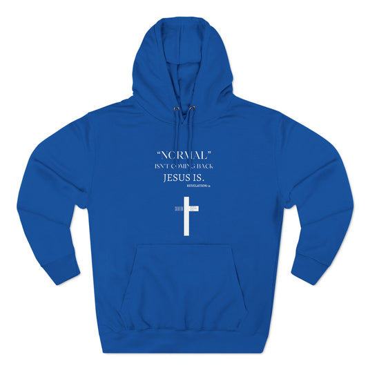 NORMAL ISN'T COMING BACK Premium Pullover Hoodie