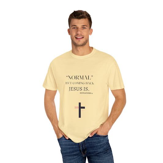 NORMAL ISN'T Coming Back Garment-Dyed T-shirt